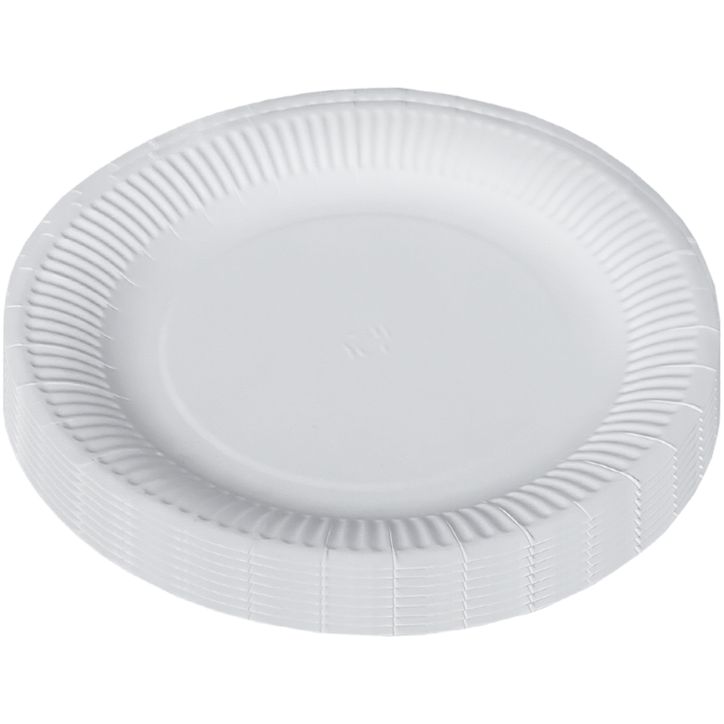 Set 10 farfurii de unica folosinta, din carton, albe, 23 CM